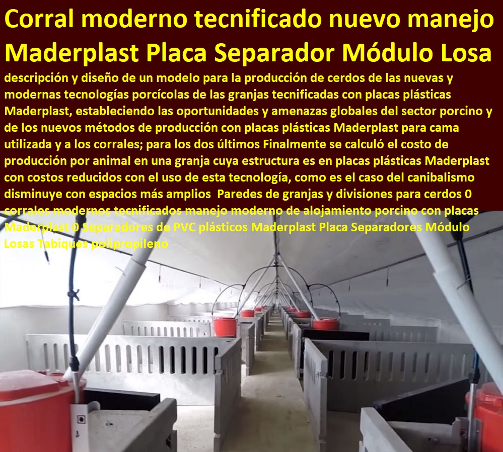 Paredes de granjas y divisiones para cerdos 0 corrales modernos tecnificados manejo moderno de alojamiento porcino con placas Maderplast 0 Separadores de PVC plásticos Maderplast Placa Separadores Módulo Losas Tabiques polipropileno como criar marranos, cómo criar cerdos técnicas modernas, manual para criar cerdos, como hacer un criadero de cerdos, cría de cerdos rentabilidad técnicamente, como engordar cerdos con maíz tecnificado, instalaciones para cría de cerdos, Paredes de granjas y divisiones para cerdos 0 corrales modernos tecnificados manejo moderno de alojamiento porcino con placas Maderplast 0 Separadores de PVC plásticos Maderplast Placa Separadores Módulo Losas Tabiques polipropileno